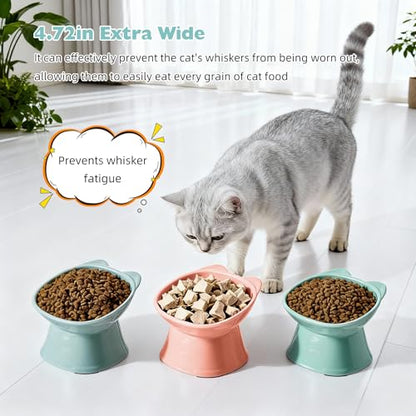 KSIA Klear Elevated Cat Bowls 2 Pack, Tilted Raised Cat Bowl for Food and Water, 4.72" Wide, Whisker Friendly Anti Vomit for Indoor Cats, Microwave and Dishwasher Safe, Blue - color: Blue