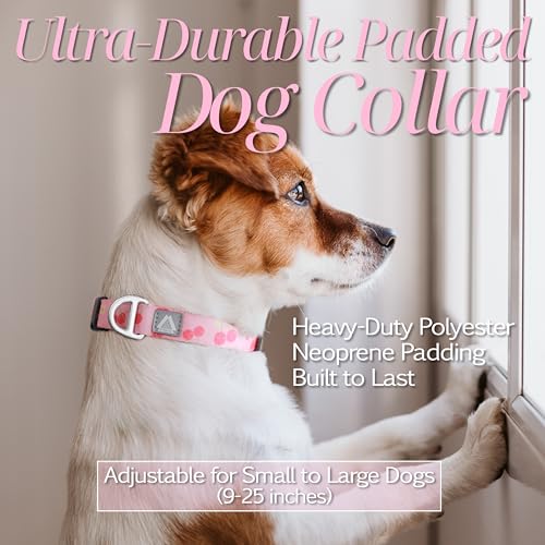 Girl Dog Collar, Pink Cute Cherry Print Reflective Padded Collar with Soft Neoprene, Adjustable Lightweight Pet Collar for Small Dogs, Puppies,Neck Size 9’’-14’’ (Cherry, S) - color: Cherry, size: S (Neck 9''– 14'')