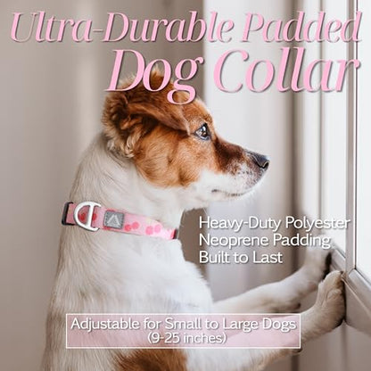 Girl Dog Collar, Pink Cute Cherry Print Reflective Padded Collar with Soft Neoprene, Adjustable Lightweight Pet Collar for Small Dogs, Puppies,Neck Size 9’’-14’’ (Cherry, S) - color: Cherry, size: S (Neck 9''– 14'')