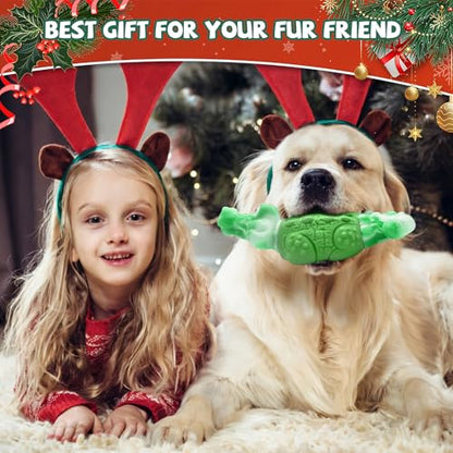 WinTour Tough Dog Toys for Large Dogs, Indestructible Dog Toy for Aggressive Chewers with Squeaky, Durable Chew Toys to Keep Them Busy for Medium and Large Breeds, Interactive Heavy Duty Bones - color: Green
