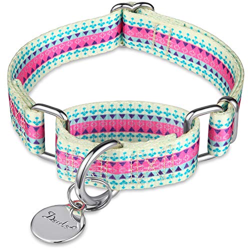 Puppy Collar Martingale Dog Collar - No Pull Anti-Escape Pet Collar for Small Dogs, Adjustable 11 Inch to 15.5 Inch, Candy Purple - color: Candy Purple, size: Small/Medium: 11"-15.5", 1" Wide