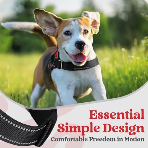 rabbitgoo Dog Harness Medium Sized, Easy On Pet Vest with One Buckle, No Pull Adjustable Service Harness with D-Ring & Handle, Reflective for Safety Walking, Training, Red, M - color: Red, size: Medium