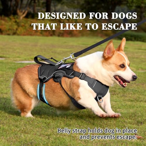Escape Proof Dog Harness, Soft Padded Full Body Pet Harness, Reflective No Pull Dog Harness with Handle and 2 Leash Clips for Small Dogs Walking Hiking Training (Black,S)
