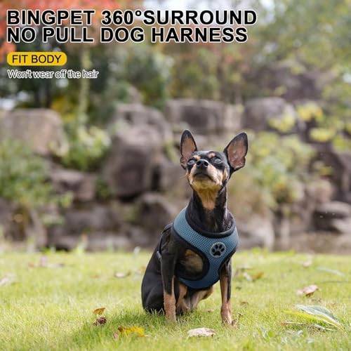 BINGPET Small Dog Harness, No Pull Dog Harness Small Sized Dogs, Soft Light Breathable Mesh Puppy Vest with Safety Buckle-Adjustable Step in Pet Harnesses for Easy Walking, Running, Training - color: Navy Blue, size: XS (NECK: 10", CHEST: 10"-14")