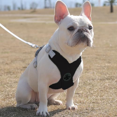 Dog Harness Pet X Frame No Pull Step-in Harnesses with Leash Set, Adjustable Reflective Choke Free Puppy with Padded Vest for Small, Medium Dogs and Cats Walking Training - color: Black, size: Small