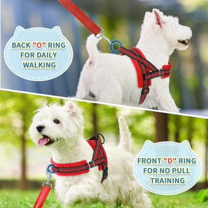 SlowTon No Pull Small Dog Harness and Leash Set, Puppy Soft Vest Harness Neck & Chest Adjustable, Reflective Lightweight Harness & Anti-Twist Pet Lead Combo for Small Medium Dogs (R-Front Clip,S) - color: B-Red - With Front Clip, size: Small