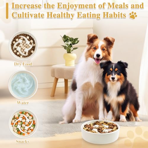 Ceramic Slow Feeder Dog Bowls, 0.6 Cups Dog Food Dish for Small and Medium Breed, Puzzle Dog Food Bowl for Fast Eater, 15OZ, 6.3 inch(Beige) - color: Beige-M