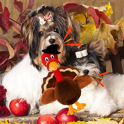 Thanksgiving Dog Toys, Turkey Squeaky Dog Toys with Cotton Rope and Crinkle, Thanksgiving Dog Gifts for Small Medium and Large Dogs - style: M-Thanksgiving Turkey