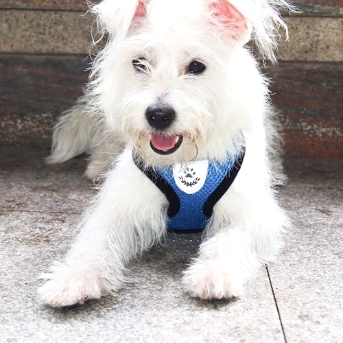 Pet Dog Vest Harnesses Puppy Cotton Polyester Adjustable Dog Mesh Harness Travel Chest Strap Vest Reflective (M, Blue) - color: Blue, size: M