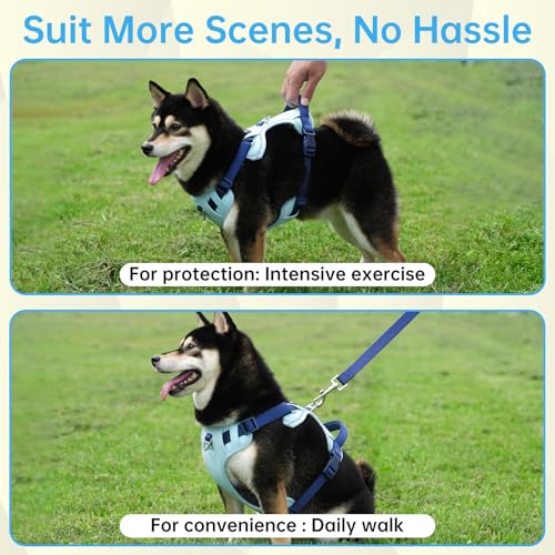 Blue Dog Harness Leash Collar Set, No Pull Reflective Dog Vest Harness with Control Handle, Adjustable Breathable Pet Harness for Small Medium Dogs Walking Training - color: Blue, size: M