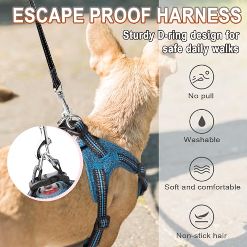 BARKBAY Dog Harness, Reflective Adjustable Step-in Vest Harness, Blue/Black, XXS - color: Blue/Black, size: XX-Small