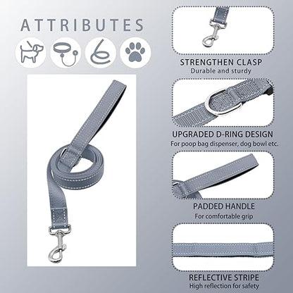 Reflective Dog Collar with Safety Locking Buckle, Adjustable Soft Breathable Nylon Collars for Small, Medium and Large Dogs(Collar+Leash XS Width 3/8" Gray) - color: Gray, size: XX-Small (Width 3/8")