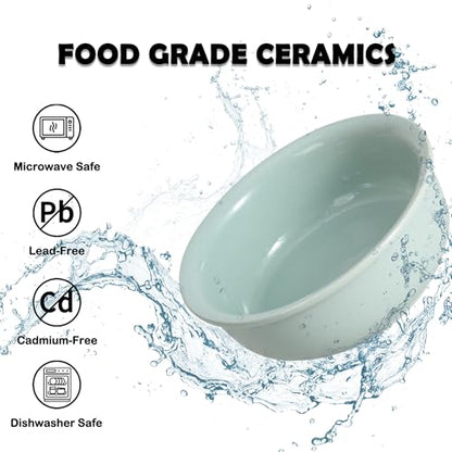Ceramic Elevated Dog Bowl Set - Double Dog Food and Water Bowls with Metal Stand - Raised Pet Dishes for Puppies and Cats - 2 Cups - 12.5 fl oz - Green - color: Green, size: S-200ml