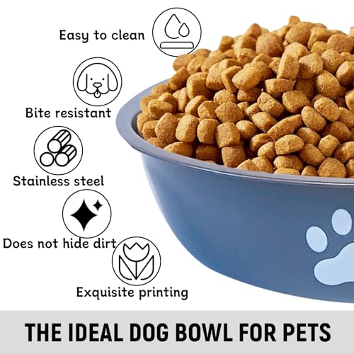 kathson 2 Pack Stainless Steel Dog Bowls,6" Spill Proof Metal Dog Food Bowls,Nonslip Rubber Bottom Pet Food and Water Bowl Set,Puppy Dishes Feeder for Medium Small Dogs,Grey - color: Grey, size: 2.5cups