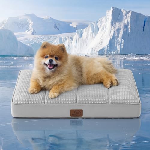Bedsure Orthopedic Cooling Dog Bed for Small Dogs - 24x16 Inches Comfy Breathable Puppy Beds with Removable Washable Cover, Cold Flat Egg Crate Foam Pet Mat, Suitable for Pet Up to 15 lbs - color: Cooling Grey, size: 24"L x 16"W x 3"Th