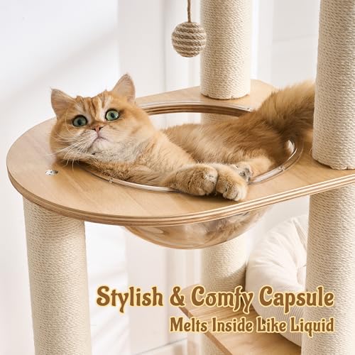Modern Solid Wood Cat Tree for Indoor Cats Up to 15lbs, 60" Tall & Wide Cat Tower with Scratching Posts, Scratcher & Self-Grooming, Large Cat Beds, Capsule Nest, Multi-Level Cat Furniture - color: 60"Natural