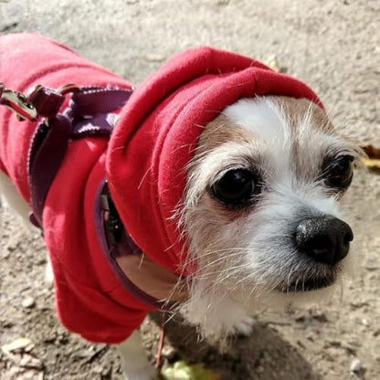 BINGPET Security Dog Hoodies Puppy Sweater Cold Weather Dog Coats Soft Brushed Fleece Pet Clothes Hooded Sweatshirt for Dog Cat - color: #1 Red(Security), size: X-Small (All Breed Sizes)