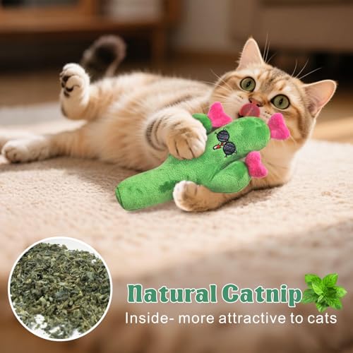 Catnip Cat Toys Cactus Crinkly Sound 5 Pack Interactive Chew Kitten Cat Toys for Indoor Cats Exercise Cat nip Toy to Stimulate Play & Reduce Boredom