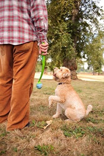 Chuckit! Fetch Pack Dog Balls - Interactive Dog Toys, High-Bounce Fetch Ball, Floating Ultra and Rugged Balls, Durable - Size Small, 2-inch Diameter, Set of 3 (Pack of 12) - size: Small (2") (Pack of 12), style: Fetch Pack 1