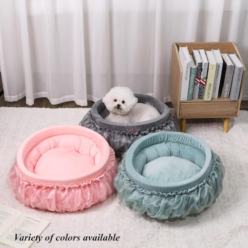 Soft Plush Princess Pet Bed with Bow-Tie & Lace - Round Cushion Sofa for Small Dogs, Kittens & Puppies(Gray,21.65''X5.51''X21.65'') - color: Gray, size: 21.65''X5.51''X21.65''