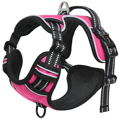 HEELE Dog Harness Dog Harness Small Dog No Pull Harness with Soft Handle Reflective Harness Adjustable, Rose, XS - color: Rose, size: XS