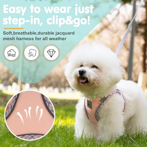 Dog Harness & Leash Set - No Pull Soft Breathable Small Dog Harness, Adjustable Reflective Step-in Vest for Puppy, Kitten, Cats - color: pink, size: s