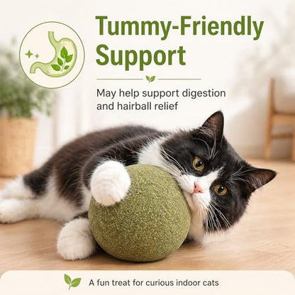 3.94 Inches Huge Catnip Ball for Cats -Big Cat Toys for Indoor Cats -Giant Cat Nip Balls Large- Large Lick Safe Healthy Kitten Chew Toys - Jumbo Kitty Teeth Cleaning Dental Toys