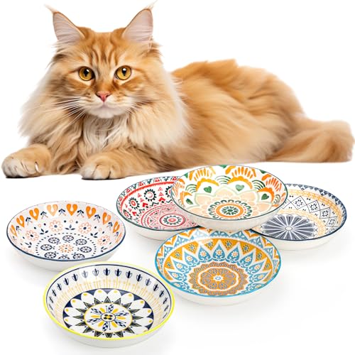 Foraineam 6 Pack 5.5 inch Wide Shallow Cat Food Bowl Set Ceramic Cat Bowls, 8oz Whisker Friendly Cat Dishes, Colorful Kitten Feeding Bowls for Food and Water, Microwave and Dishwasher Safe