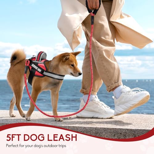 Service Dog Vest Harness and Leash Set, Animire in Training Dog Harness with 10 Dog Patches, Reflective Dog Leash with Soft Padded Handle for Small, Medium, Large, and Extra-Large Dogs (RED,XS) - color: Red, size: XS