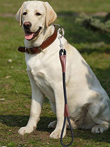 Short Dog Leash- 2FT Strong Nylon Black Traffic Leash- No Pull Rope Lead for Medium Large Dogs Training Walking (Black,1/2" x 24 inch) - size: 24 Inch (Pack of 1)