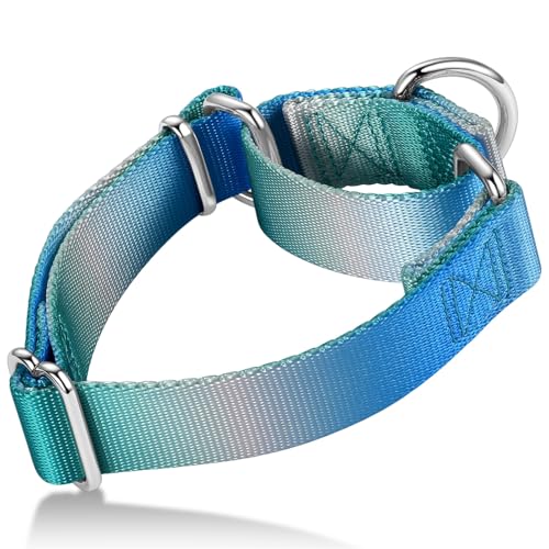 Martingale Dog Collar Colorful Gradient Fashionable - Anti-Escape Soft Durable Pets Collar for Walking Training Outdoor Daily Use -Medium,Turquoise Gradient - color: Turquoise Gradient, size: Medium: 14" -21"