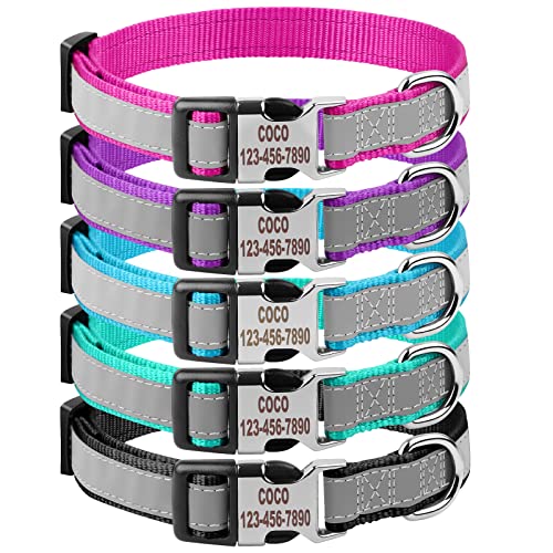 Reflective Personalized Dog Collar - Custom Engraved with Pet Name and Phone Number for Boy and Girl Dogs, 4 Adjustable Sizes, XSmall,Small, Medium and Large - color: Engraved