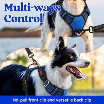 rabbitgoo Dog Harness Small Sized, No Pull Dog Vest with 3 Buckles, Adjustable Soft Padded Pet Harness with Easy Control Handle and Reflective Strips, Royal Blue, S - color: Royal Blue, size: Small