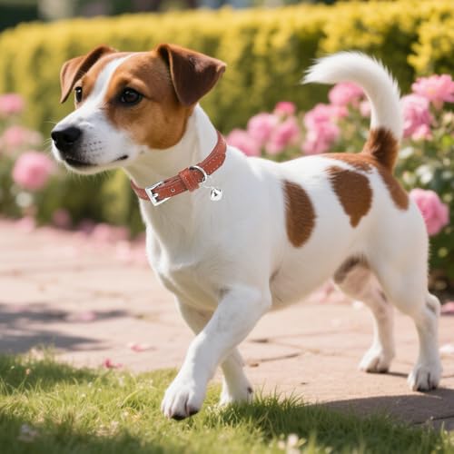 PUPTECK 2 PCS Soft Genuine Leather Cat Kitten Collar with Bells Adjustable for Girl Boy Cats Puppy - Cream, Brown - color: Cream & Brown