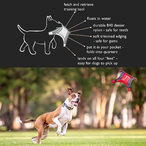 EzyDog DogStar Flyer Dog Flying Disc Toy – Foldable Soft Nylon Fetch Toy, Lightweight Long-Distance Throw, Floating for Water & Land – Durable for Small, Medium & Large Dogs