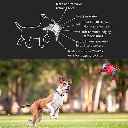 EzyDog DogStar Flyer Dog Flying Disc Toy – Foldable Soft Nylon Fetch Toy, Lightweight Long-Distance Throw, Floating for Water & Land – Durable for Small, Medium & Large Dogs