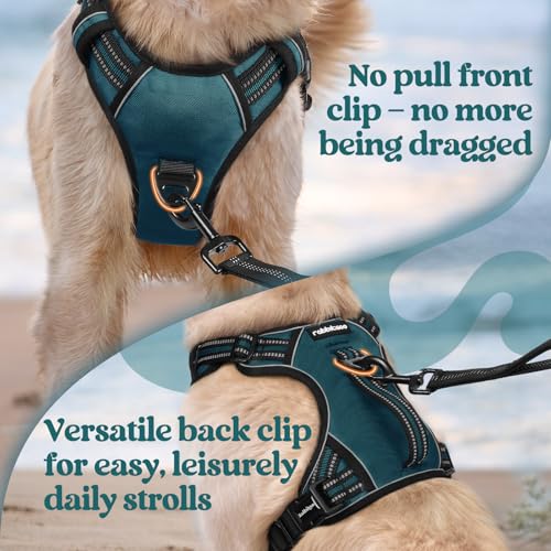 rabbitgoo Dog Harness for Large Dogs, No Pull Pet Harness with Soft Padded Handle, Adjustable Reflective Vest with 3 Buckles, Easy Walking Harness with 2 Leash Clips, Green, L - color: Green, size: Large