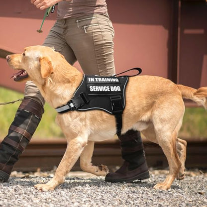 Service Dog Vest Harness and Leash Set+10 Patches,No Pull&Easy Walk Reflective Dog Harness with Soft Padded Handle for Training/Everyday,Fit Small/Medium/Large/Extra-Large Dogs(Black M) - color: Black, size: Medium