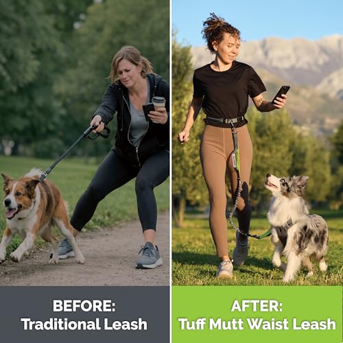 Tuff Mutt Hands Free Dog Leash for Walking Running Hiking, Waist Leash with Bungee, Adjustable Belt, Reflective Double Handle Design for Large Medium Dogs - color: gray/blue