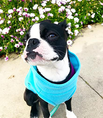 Gooby - Stretch Fleece Vest, Pullover Fleece Vest Jacket Sweater for Dogs, Mint, X-Small - color: Mint, size: X-Small Length (7")