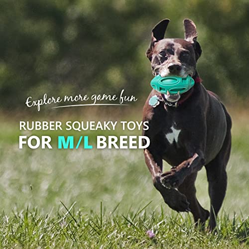 EASTBLUE Squeaky Dog Toys for Aggressive Chewers: Rubber Puppy Chew Ball with Squeaker (Teal) - color: Teal