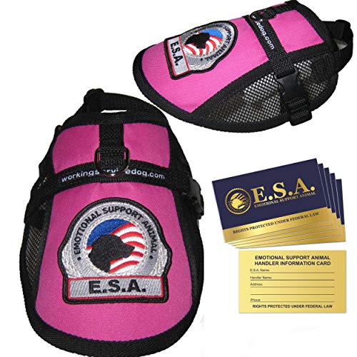 Premium Emotional Support Dog Vest | ESA Dog Vest | Mesh Cooling Panel | Emotional Support Dog Harness | Includes 5 Federal Law ESA Handout Cards (18" - 22" Girth, Raspberry) - color: Raspberry, size: Fits 18" - 22" Girth