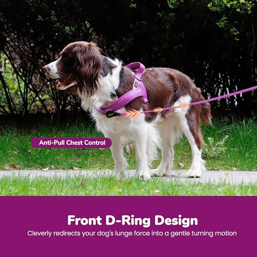 Didog No Pull Dog Harness with Soft Mesh Padded,Reflective & Quick Fit Light Weight Dog Strap Vest Harness,Easy for Walking Training (M:Chest 21-26", Purple) - color: Purple, size: M: Chest 21-26", Fit 28-50 lbs