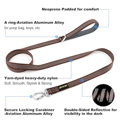 Plutus Pet Heavy Duty Dog Leash with Lockable Aluminum Carabiner, 4/6 Feet Long, Double-Sided Reflective Nylon, Padded Handle, for Puppy, Small, Medium and Large Dogs (Chocolate, 4/5" x 4') - color: Chocolate, size: 4/5" x 4'