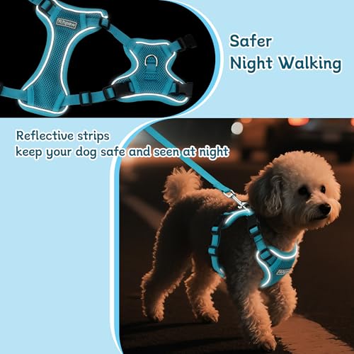 Small Dog Harness and Leash Set, Reflective Soft Breathable Mesh Vest, 3 Buckles, Adjustable Neck and Chest,Step in Dog Harness for Walking, Running, Training, Turquoise, S - color: Turquoise, size: Small