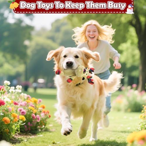Christmas Dog Toy Squeaky Interactive Dog Toys Puppy Teething Chew Toy Deer Shape Stuffed PP Cotton Crinkle Sound Paper Tail, for Large Medium Small Breeds， Indoor Outdoor Play