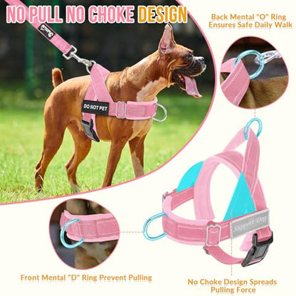 Lukovee No Pull Dog Harness and Leash Set - Heavy Duty Dog Vest with Soft Velvet Padding for Medium Large Dogs, Adjustable Reflective Tactical Harness with 2 Control Handles & Front Clip (S, PI) - color: Pink, size: Small