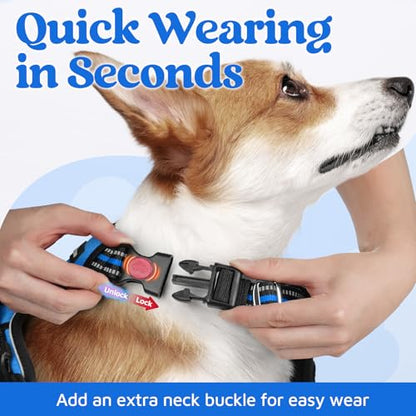rabbitgoo Dog Harness Small Sized, No Pull Dog Vest with 3 Buckles, Adjustable Soft Padded Pet Harness with Easy Control Handle and Reflective Strips, Blue, S - color: Blue, size: Small