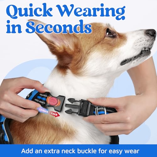 rabbitgoo Dog Harness Small Sized, No Pull Dog Vest with 3 Buckles, Adjustable Soft Padded Pet Harness with Easy Control Handle and Reflective Strips, Blue, S - color: Blue, size: Small
