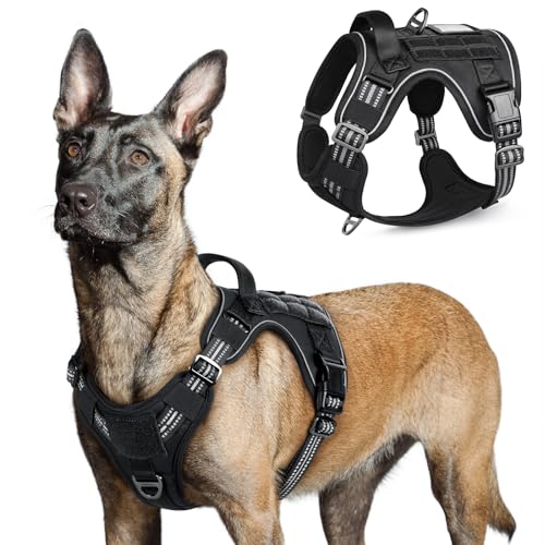 rabbitgoo Tactical Dog Harness for Large Dogs, No Pull Military Service Vest with Handle & Molle, Easy Control for Training Walking, Adjustable Reflective Straps, Black, L - color: Black, size: Large